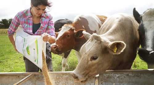 Automation Helps Animal Nutritional Supplement Plant Control Recipes