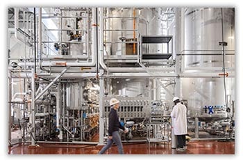 Fermentation Process